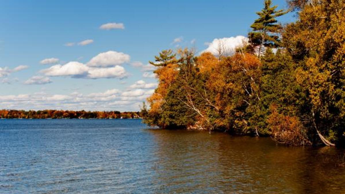 environment    lake  with  trees 