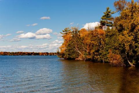 environment    lake  with  trees 